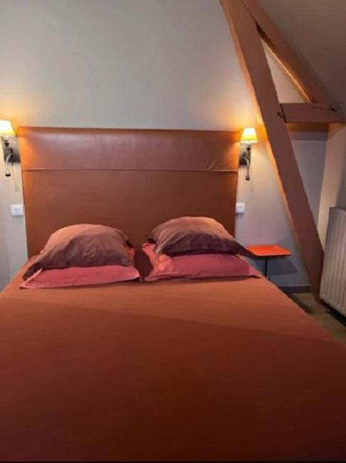 La Demeure De L'Ile Bed & Breakfast Craon  Exterior foto